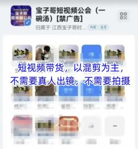 宝子哥头部团队短视频带货,以混剪为主,不需要真人出镜,不需要拍摄【更新9月】 – 战狼项目网_分享创业资讯_最新网络项目资源-生财有道